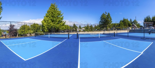 Two empty pickleball courts featuring blue surfaces and black nets are bathed in sunlight on a clear summer day, surrounded by lush green trees and a distant view of a parking lot