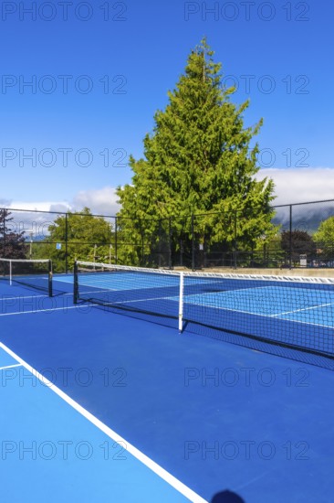 Pickleball court with blue surface and white lines, net, and metal fence basking in sunlight on a beautiful day with clear blue sky, green trees, and clouds