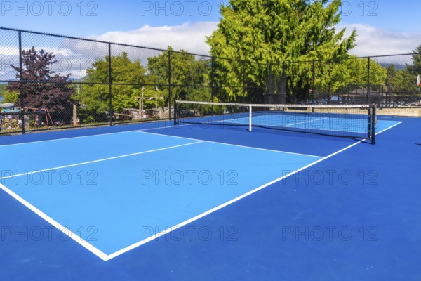Pickleball court with net on a sunny day, showing a nearby playground in the background, offering a vibrant and inviting space for recreational activities