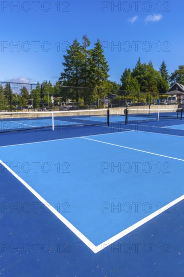 Empty outdoor pickleball courts feature a striking blue playing surface, white boundary lines, and nets, set against a backdrop of green trees and a clear blue sky