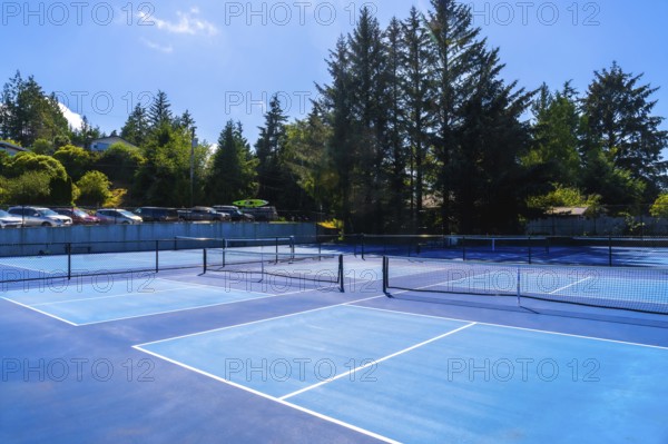 Sunlight streaming across empty pickleball courts on a clear summer day, inviting players to engage in friendly matches and enjoy vibrant outdoor recreation in a picturesque setting