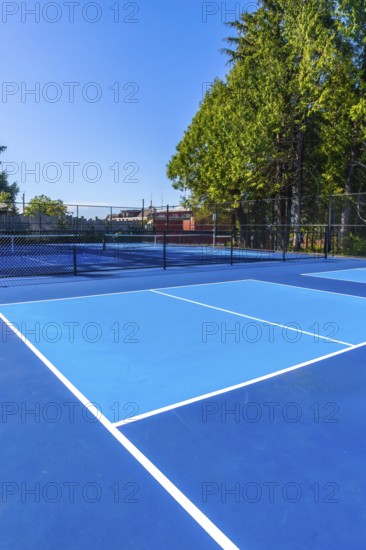White lines marking vibrant blue pickleball courts create an inviting scene under a sunny sky, surrounded by green trees, perfect for outdoor recreation