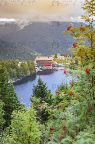 Picturesque view of a house on the lake surrounded by wooded mountains at dusk, Mummelsee, Seebach, Ortenau District, Black Forest, Germany