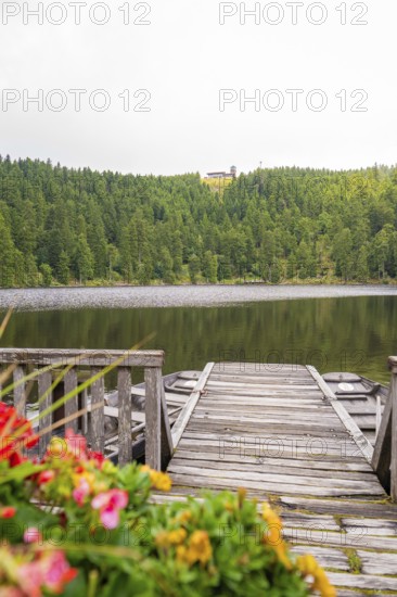 A wooden footbridge leads to a lake, colourful flowers in the foreground, Mummelsee, Seebach, Ortenau district, Black Forest, Germany