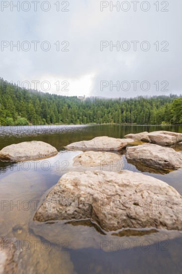 Rock formations in the lake with forest background and cloudy sky, Mummelsee, Seebach, Ortenau District, Black Forest, Germany
