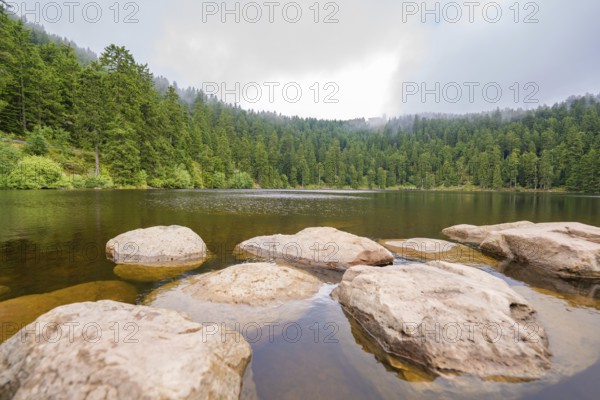 Rocks in the clear water of a lake, surrounded by dense forest and slightly cloudy sky, Mummelsee, Seebach, Ortenau district, Black Forest, Germany