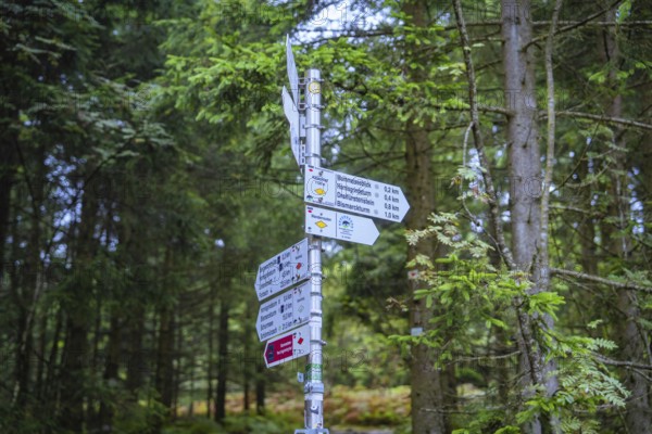 A detailed signpost shows various directions in the middle of a forest, Mummelsee, Seebach, Ortenau district, Black Forest, Germany