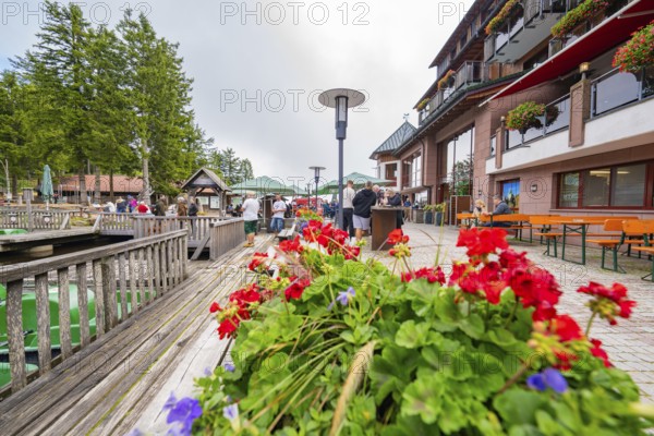 Bright flowers in the foreground of a terrace with people in a tourist area, Mummelsee, Seebach, Ortenau district, Black Forest, Germany