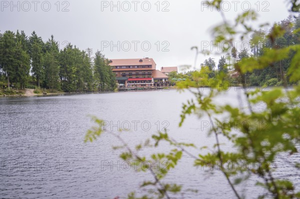 A building by the lake, slightly obscured by plants in the foreground, Mummelsee, Seebach, Ortenau district, Black Forest, Germany