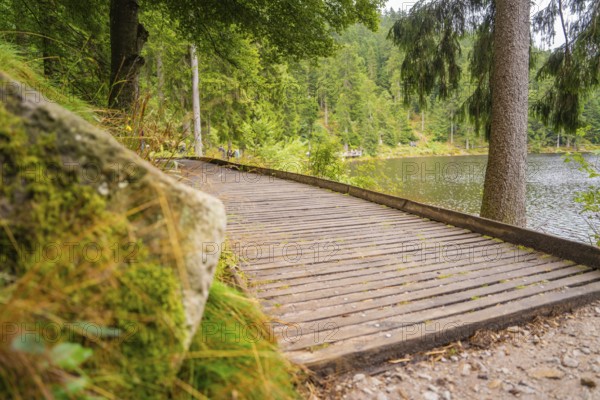 A wooden path leads through the forest along a lakeshore, Mummelsee, Seebach, Ortenau district, Black Forest, Germany