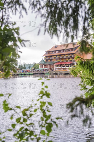 Building with terrace on a quiet lake, framed by leaves, Mummelsee, Seebach, Ortenau district, Black Forest, Germany