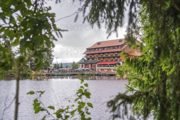 Wooden building by the water, surrounded by green forest, Mummelsee, Seebach, Ortenau district, Black Forest, Germany
