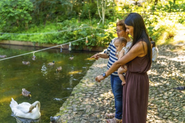 Grandmother, mother and granddaughter spending time together outdoors, feeding ducks and swans in a pond, surrounded by lush greenery