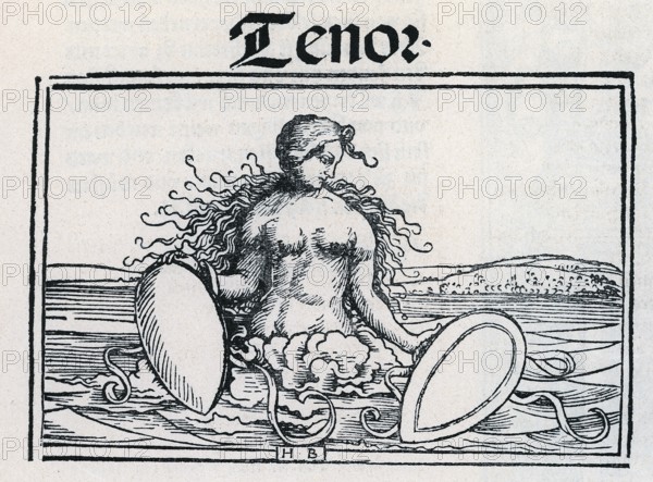 Tenor, the four vocal parts from Öglin's songbook 1512, from Könnecke Bilderatlas zur Geschichte der Deutschen Litteratur Marburg, 1887