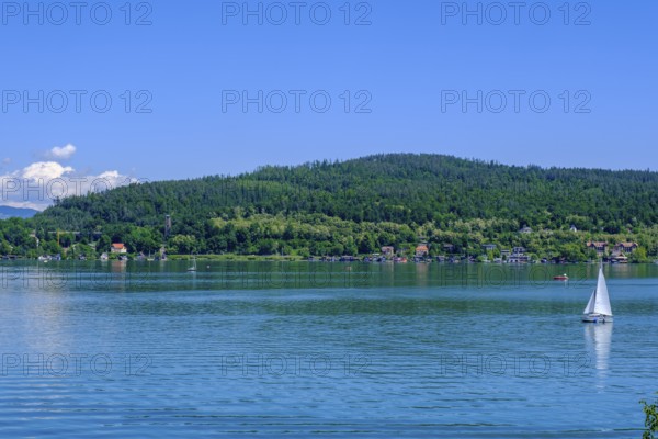 On Lake Lake Wörth, south shore, near Sekirn, Carinthia, Austria