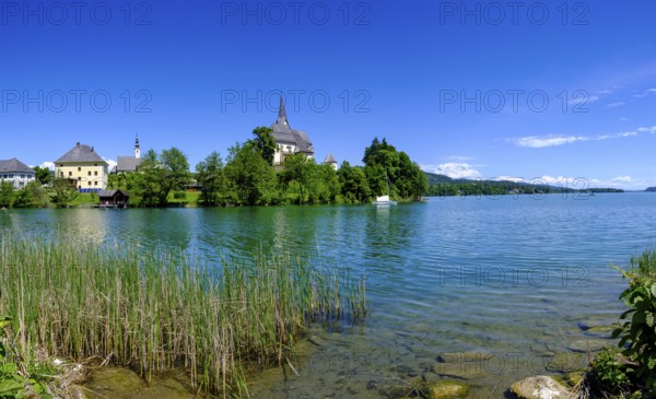 Maria Wörth pilgrimage church, on the southern shore of Lake Lake Wörth, Carinthia, Austria