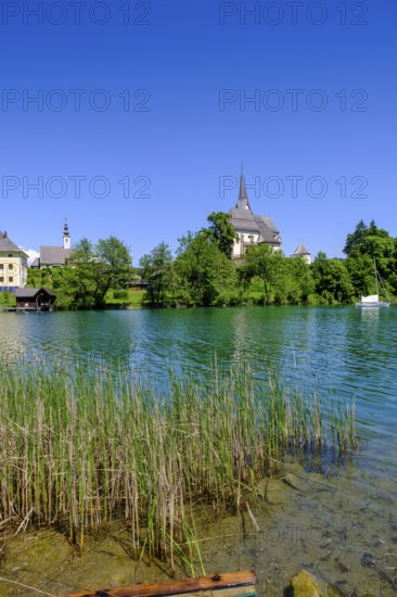 Maria Wörth pilgrimage church, on the southern shore of Lake Lake Wörth, Carinthia, Austria