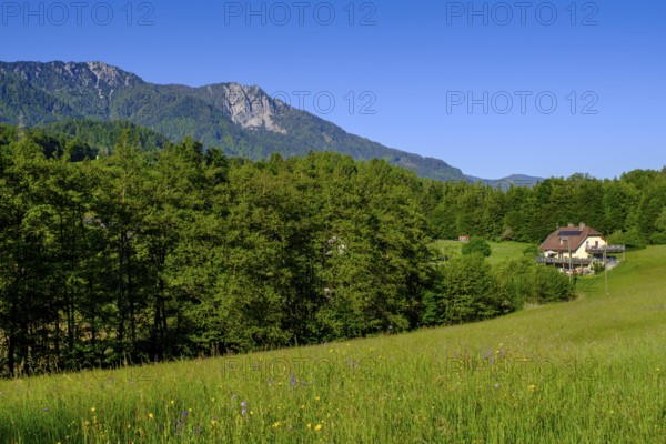 Aichwaldsee, Unterairchwald, on Lake Faak, Carinthia, Austria