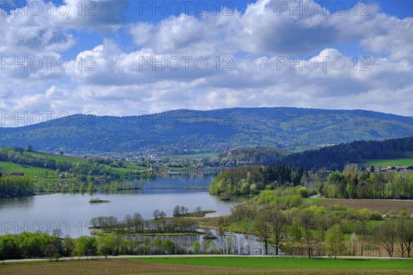 Drachensee, Furth im Wald, Bavarian Forest, Upper Palatinate, Bavaria, Germany