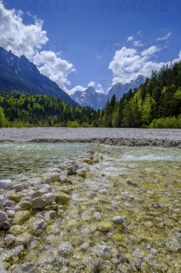 Pisnica stream at Jasna Lake in Triglav National Park, Kranjska Gora, Upper Carniola, Julian Alps, Slovenia