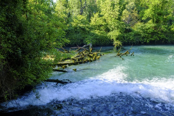 Bocche del Timavo, karst spring, San Giovanni di Duino, near Duino, Friuli-Venezia Giulia, Italy