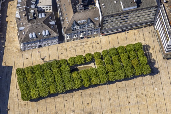 Aerial view, tree avenue at the town hall and town hall square, city, Lüdenscheid city, Lüdenscheid, Sauerland, North Rhine-Westphalia, Germany, tree avenue, tree group, tree row, tree series, DE, Europe, green trees, aerial view, aerial photography, aerial photography, Märkischer Kreis, overview, bird's eye view, birds-eyes view, green planting, overview