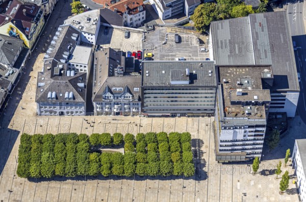 Aerial view, town hall and town hall square with tree avenue, city, Lüdenscheid city, Lüdenscheid, Sauerland, North Rhine-Westphalia, Germany, tree avenue, tree group, tree row, tree series, DE, Europe, green trees, aerial view, aerial photography, aerial photography, Märkischer Kreis, overview, bird's eye view, birds-eyes view, green planting, overview