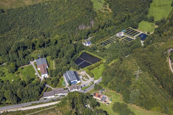 Aerial view, trout farm Versetal, power line, waterworks Treckinghausen and river Verse, Piepersloh, Lüdenscheid, Sauerland, North Rhine-Westphalia, Germany, DE, Europe, fish farm, aerial view, aerial photography, aerial photography, Märkischer Kreis, overview, bird's eye view, water supply company, waterworks Treckinghausen, birds-eyes view, overview