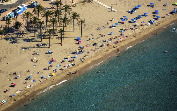 Roses on the Gulf of Roses, high-rise buildings on the beach, holiday resort, palm beach, beach, Costa Brava, Catalonia, Spain, Roses, Europe, aerial photo, birds-eyes view, aerial photography, aerial photography, overview, overview, bird's eye view, aerial photos of Spain
