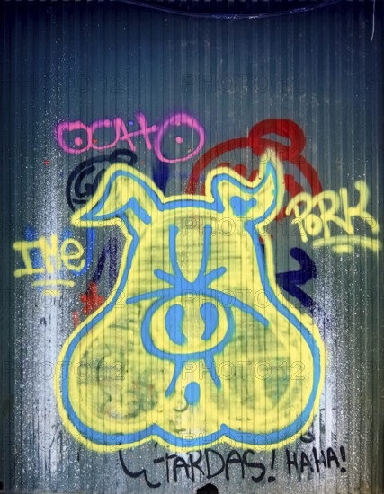 Graffiti as a pig's head on a shop gate in the old town centre of Girona, Cataluña, Gerona, Catalonia, Spain, Girona, Cataluña, Europe, aerial photo, birds-eyes view, aerial photography, aerial photography, overview, bird's eye view