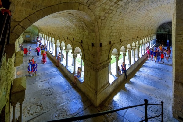 Cloister, Cathedral of Santa Maria of Gerona, Catedral Santa Maria de Girona, Girona, Cataluña, Gerona, Catalonia, Spain, Cataluña, Europe, aerial view, birds-eyes view, aerial photography, aerial photography, overview, overview, bird's eye view