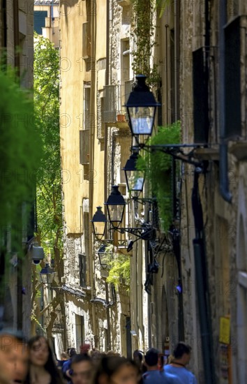 Alleys in the old town of Girona, Cataluña, Gerona, Catalonia, Spain, Girona, Cataluña, Europe, aerial view, birds-eyes view, aerial photography, aerial photography, overview, overview, bird's eye view