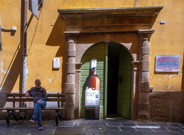 Sardinia, house with picturesque door and wine bottle poster, Bosa, Europe, Province of Oristano, Italy, architecture, design, details, village, entrance, colour, facade, window, building, house, culture, perspective, poster, travel, sightseeing, summer, urban, scene, tourism, door, holiday, wall, wine, wine bottle poster, decoration, European, historical, Italian, picturesque, Mediterranean, traditional