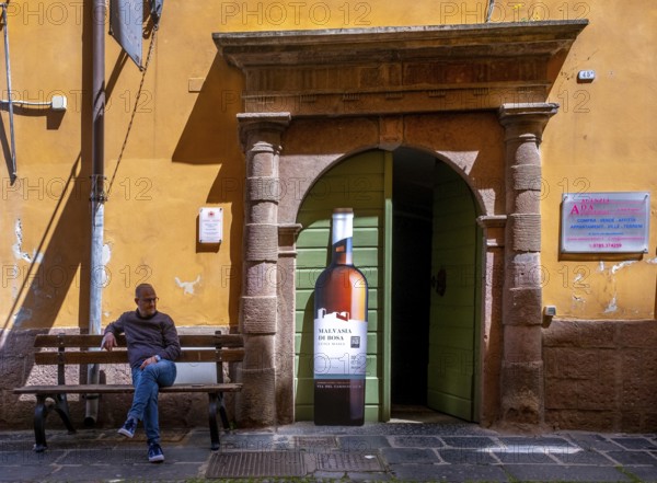 Sardinia, house with picturesque door and wine bottle poster, Bosa, Europe, Province of Oristano, Italy, old town, architecture, exterior, charm, village, discovery, facade, window, building, house, culture, art, artwork, poster, travel, sightseeing, city, scenery, tourism, door, door sign, wine, wine bottle poster, colourful, decoration, European, historical, Italian, local, picturesque, Mediterranean, rustic, traditional