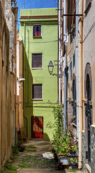 Sardinia, alley with picturesque house and window, Bosa, Europe, Province of Oristano, Italy, old town, architecture, atmosphere, balconies, facade, window, photography, alley, building, house, culture, cobblestones, travel photography, destination, sight, sightseeing, summer, city, alleyway, south, daylight, tourism, doors, holiday, holiday destination, charming, narrow alleyway, historic, Italian, picturesque, Mediterranean, traditional