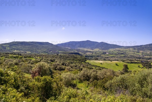 Sardinia, wide landscape meadows and fields, with mountains in the background, blue sky, Fordongianus, Europe, province Oristano, Italy, view, fields, mountains, green, background, horizon, hill, idyllic, landscape, scenery, nature, panorama, travel, destinations, sightseeing, summer, scenic, daylight, tourism, meadows, peaceful, rural, picturesque, mediterranean, untouched, vegetation