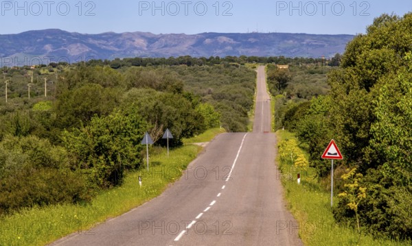 Sardinia, Straight road to the horizon, Paulilatino, Europe, Province of Oristano, Italy, seclusion, asphalt, driving, discovery, exploration, distant view, sky, horizon, idyll, landscape, country road, nature, perspective, travelling, sightseeing, summer, road, daylight, tourism, transport, environment, vastness, clouds, destination, peaceful, straight, scenic, rural, uninhabited