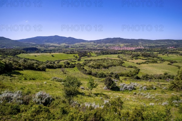 Sardinia, view of village and wide landscape meadows and fields, with mountains in the background, blue sky, Fordongianus, Europe, Province of Oristano, Italy, view, mountainous, trees, recreation, fields, crops, distant view, mountains, background, horizon, hills, idyll, landscape, agriculture, nature, local view, panorama, travel, sightseeing, day, tourism, environment, weather, meadows, countryside, peaceful, grassy, clear, rural, picturesque, mediterranean, rural, summerly, sunny, vegetation