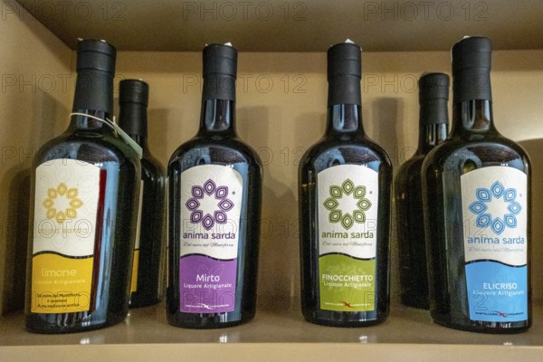 Four bottles of Anima Sarda beer in four different flavours, Santu Lussurgiu, Europe, Province of Oristano, Italy