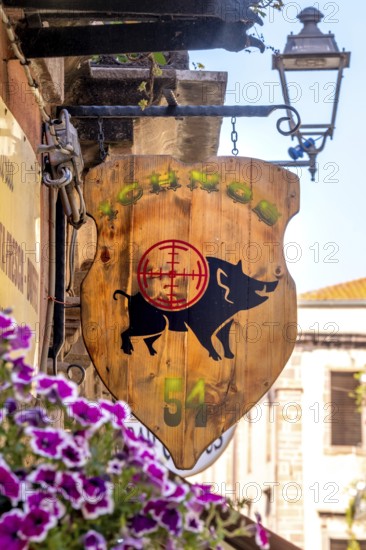 Sardinia, business sign with wild boar and target, Bosa, Europe, Province of Oristano, Italy, attraction, outdoor, representation, design, photography, business sign, graphic, illustration, hunting, culture, art, country road, sign, sight, sightseeing, city, symbol, animal, tourism, advertising, wild boar, target, decoration, Italian, rural, Mediterranean, traditional, public