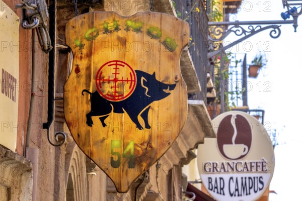 Sardinia, business sign with wild boar and target, Bosa, Europe, province of Oristano, Italy, attraction, design, retail, business sign, wood, hunting, culture, art, shop, local colour, outdoor, sightseeing, city, symbol, animal motif, tourism, environment, company, advertising, wild boar, sign, target, decorative, emblematic, handmade, Italian, rural, Mediterranean, touristic, traditional