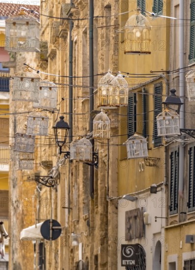 Sardinia, birdcage with light bulbs on power lines between houses above the alleyway, old town, Alghero, Europe, province of Sassari, Italy, evening, architecture, buildings, lighting, twilight, electricity, alley, light bulbs, houses, creativity, culture, art installation, sightseeing, cityscape, city centre, alleyway, power lines, tourism, tradition, birdcage, atmospheric, decoration, narrow, historical, Italian, picturesque, Mediterranean, unusual, urban environment