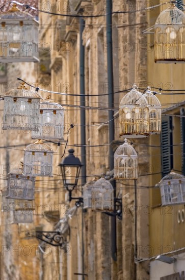 Sardinia, birdcage with light bulbs on power lines between houses above the alleyway, old town, Alghero, Beluga (sturgeon), Italy, evening, architecture, atmosphere, outdoor, lighting, twilight, furnishing, alley, light bulbs, houses, cable, light sources, sightseeing, city, mood, alleyway, power lines, scene, tourism, urban, birdcage, old-fashioned, decoration, electric cable, European, historical, Italian, creative, cultural, artistic, Mediterranean, traditional