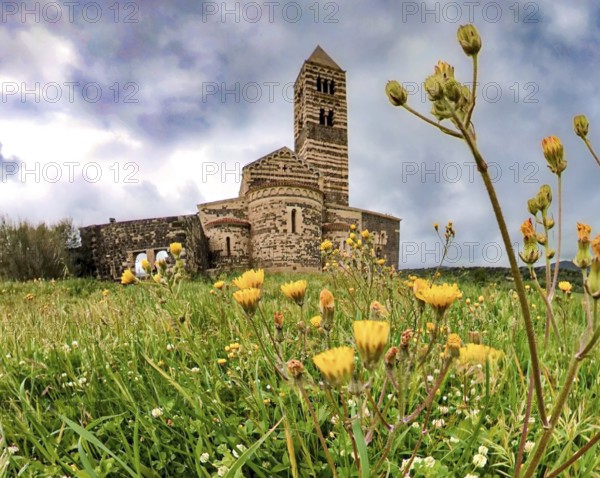 Sardinia, The Abbey Church of Santissima TrinitÃƒÂ di Saccargia, Romanesque church, flower meadow, Codrongianos, Europe, Province of Sassari, Italy, abbey church, place of worship, chiesa, religious community, place of worship, sacred site, IT, church, parish, denomination, travel, destination, religion, religious site, sightseeing, tourism, meadows and fields