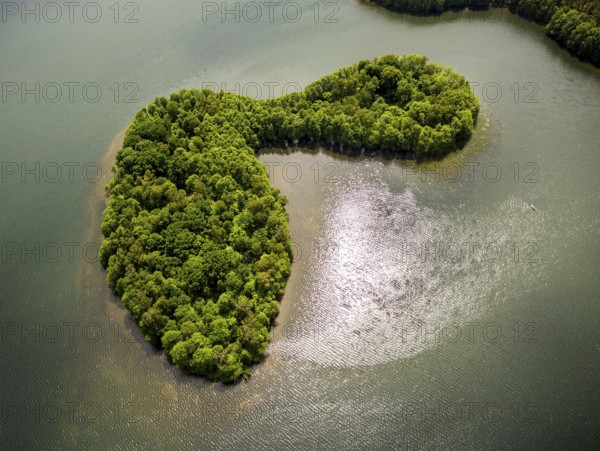 Lakeland, Pomerania, reflection, forested island, Åupawsko, Baltic Sea coast, pomorskie, Poland, Lupawsko, PL, Europe, aerial view, birds-eyes view, aerial photography, aerial photography, overview, bird's eye view, northern Poland