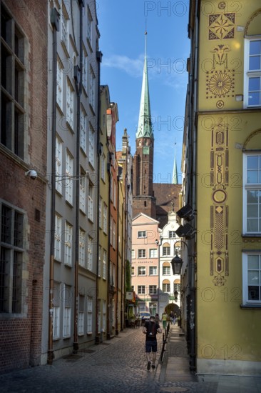 Alley with St Mary's Church, GdaÅsk, Gdansk, Baltic Sea coast, Baltic Sea, pomorskie, Pomeranian Voivodeship, Poland, Gdansk, PL, Europe, aerial photograph, birds-eyes view, aerial photography, aerial photography, overview, bird's eye view