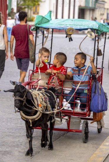 &lt, children's amusement, children's carriage pulled by a goat, streetlife in the city centre of Santa Clara at the Parque de Santa Clara, Santa Clara, Cuba, Villa Clara