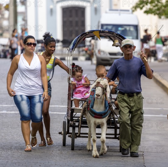 <, children's amusement, children's carriage pulled by a goat, streetlife in the city centre of Santa Clara at the Parque de Santa Clara, Santa Clara, Cuba, Villa Clara
