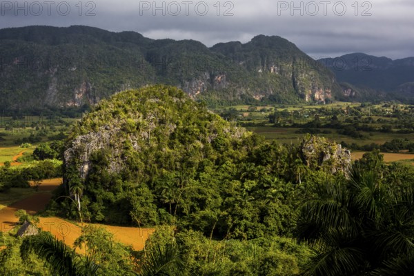 Tobacco fields and the mountains of the Mogotes, Viñales valley with karst mountains, Viñales, Pinar del Río province, Cuba, North America, Cuba, Pinar del Río