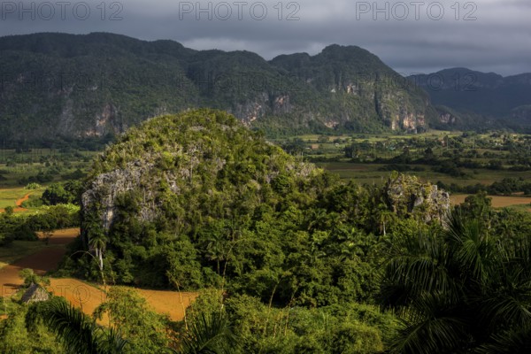 Tobacco fields and the mountains of the Mogotes, Viñales valley with karst mountains, Viñales, Pinar del Río province, Cuba, North America, Cuba, Pinar del Río